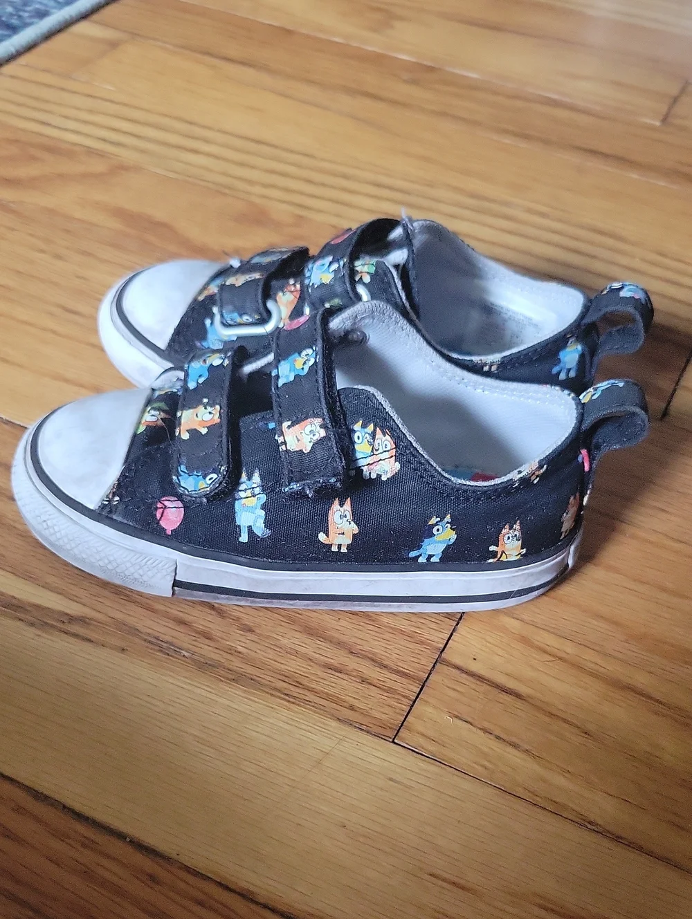 Converse bluey sneakers
